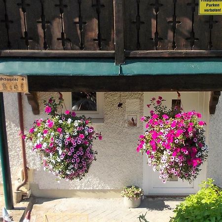 Ferienwohnung Haus Amsel Ebensee Exterior foto